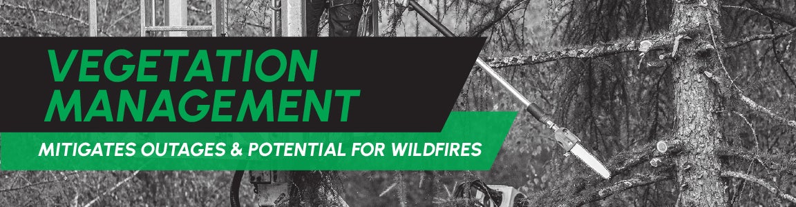 Vegetation Management MPE