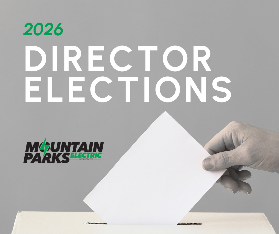 2026 Director Elections